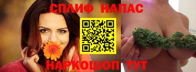 гидра Славянск-на-Кубани