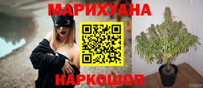 прущая мука Сланцы